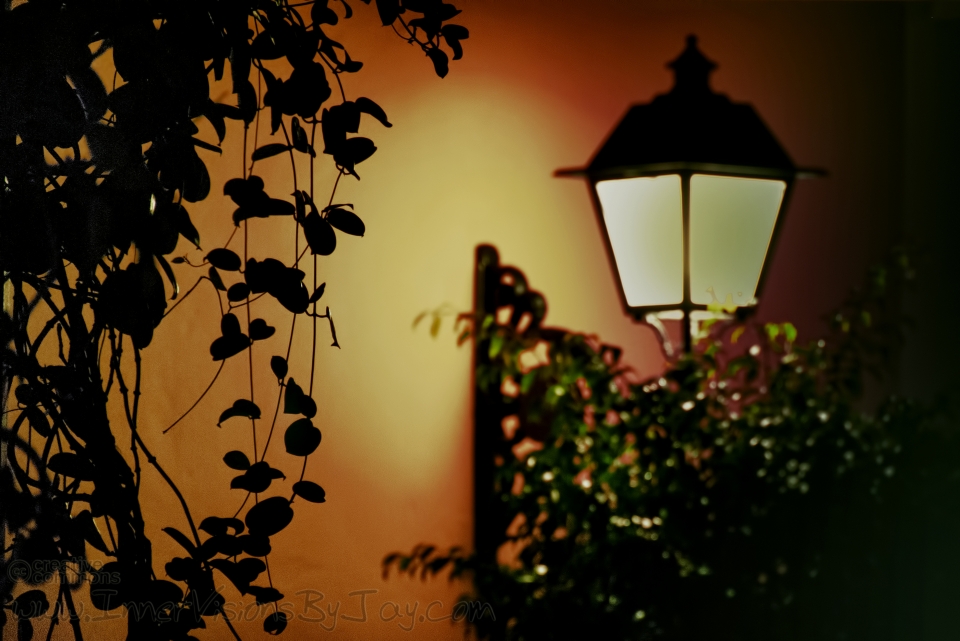 Lamplight in a Mediterranean Night